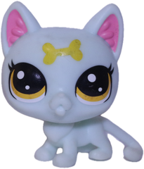 No # Kitten "Lyric"