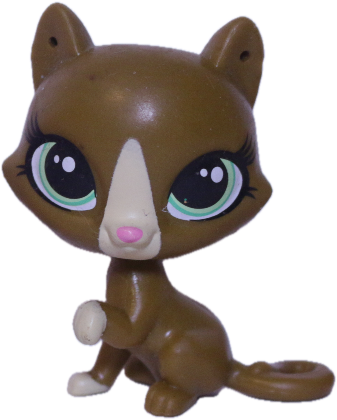 #146 Cat "Begonia Gatto"