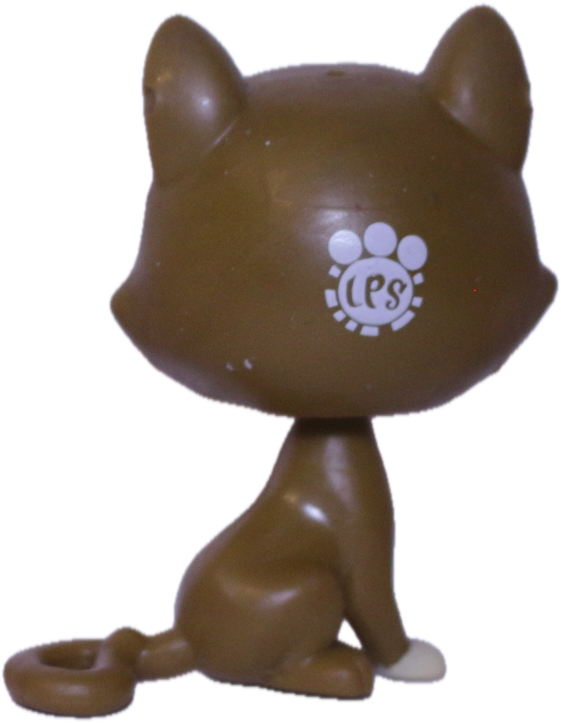 #146 Cat "Begonia Gatto"