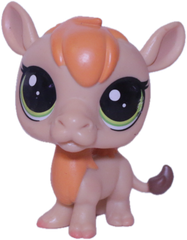 #199 Camel "Garbanzo Hillville"