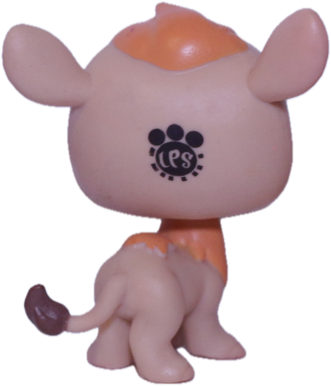 #199 Camel "Garbanzo Hillville"