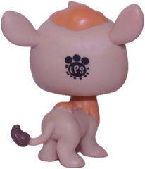 #199 Camel "Garbanzo Hillville"