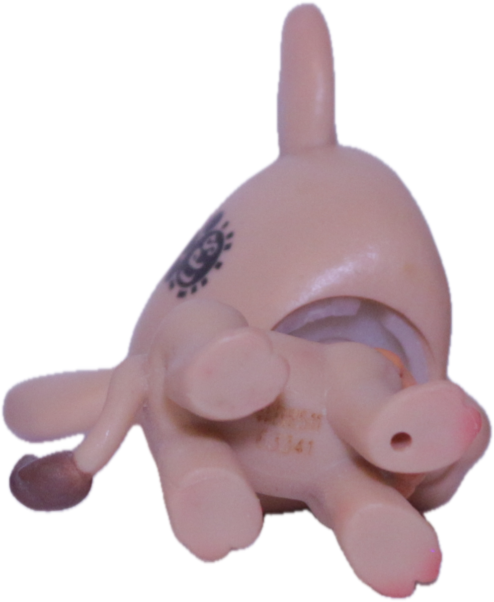 #199 Camel "Garbanzo Hillville"