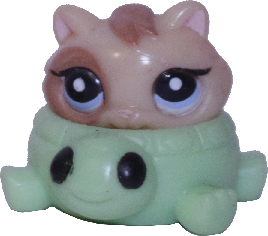 Teensies Turtle Floatie