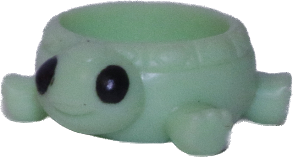 Teensies Turtle Floatie