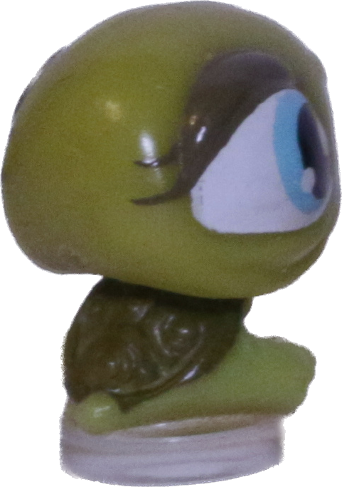 #T?? Teensiest Turtle