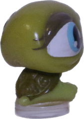 #T?? Teensiest Turtle