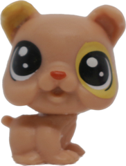 No # Teensy Bulldog "Sunstorm"