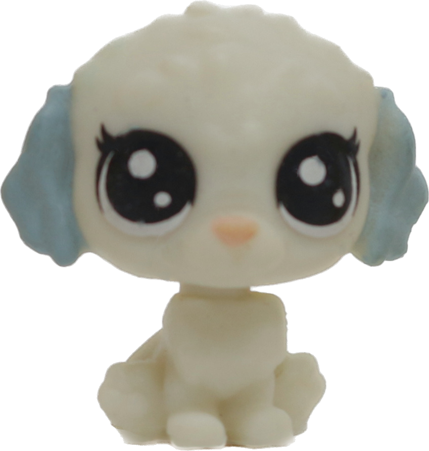 No # Teensy Maltese "Babbling Brook"