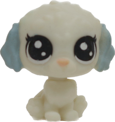 No # Teensy Maltese "Babbling Brook"