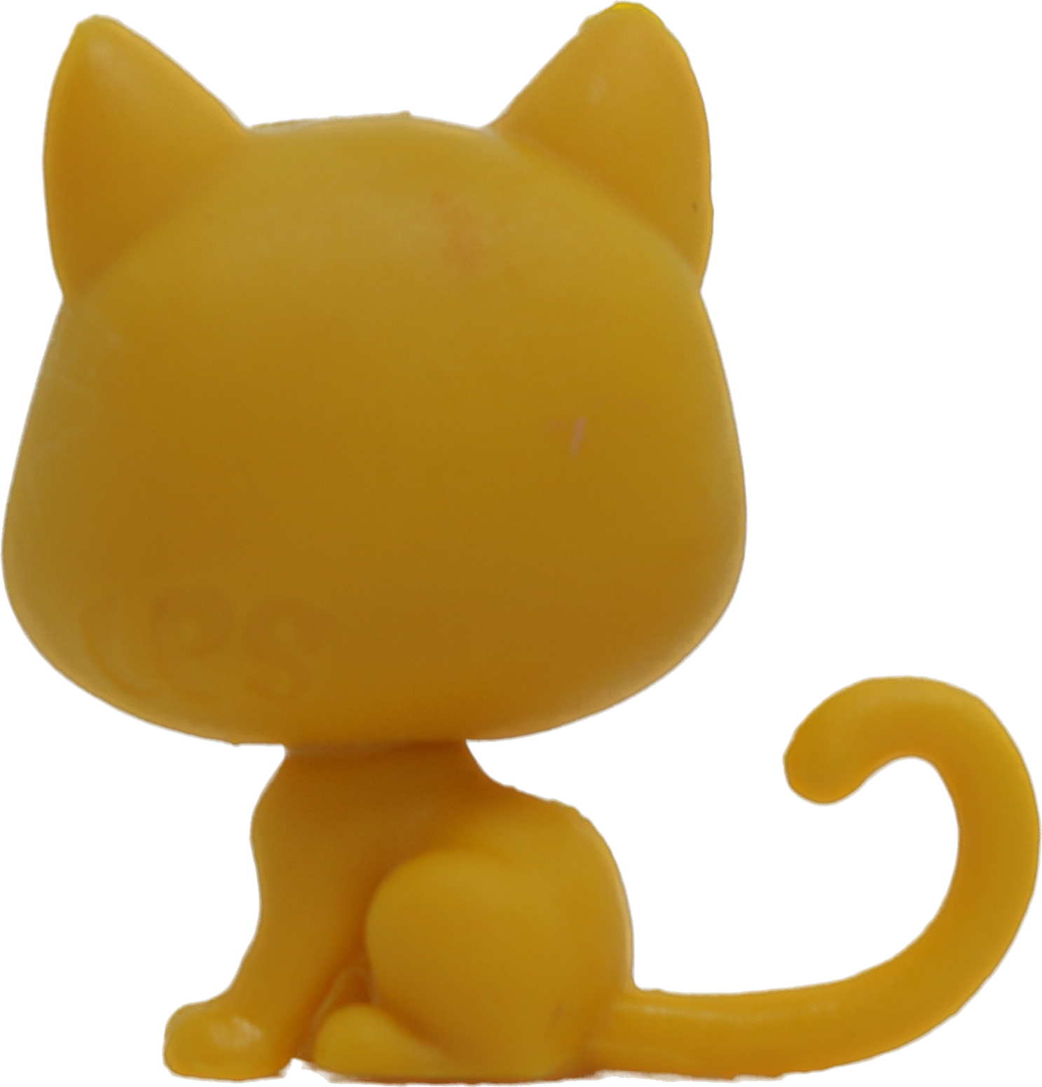 No # Mini Shorthair Kitten