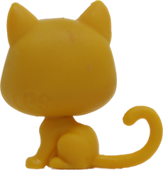 No # Mini Shorthair Kitten