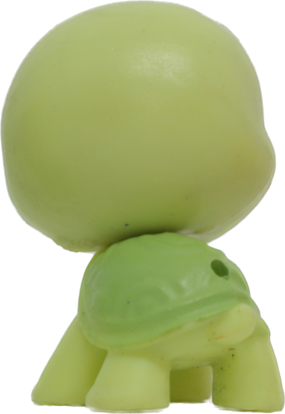 #289 Mini Turtle