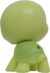 #289 Mini Turtle