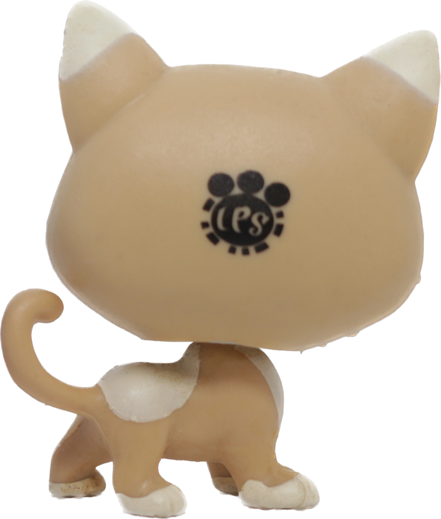 #118 Kitten "Kochka Pawsky"