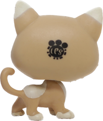 #118 Kitten "Kochka Pawsky"