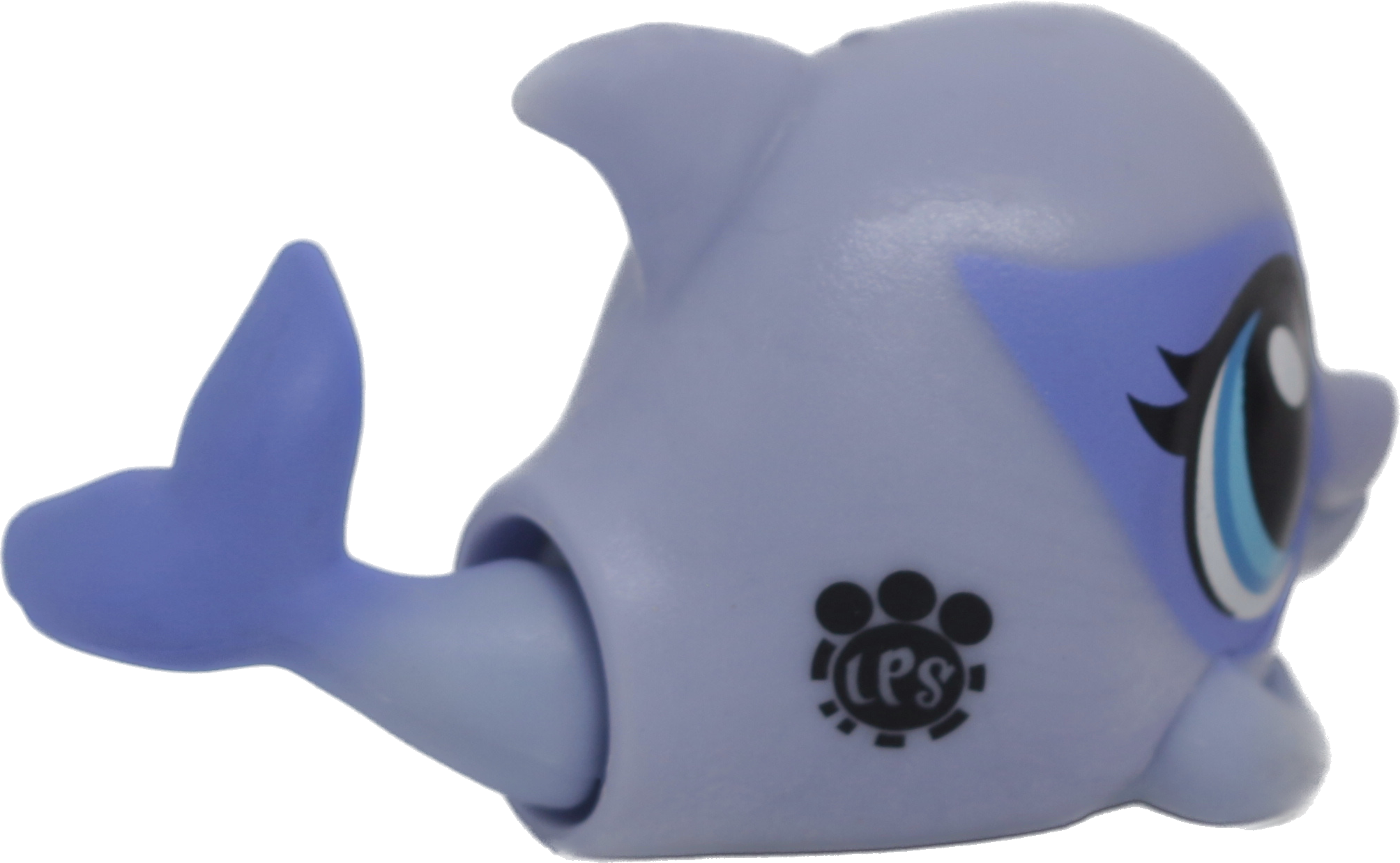 #226 Dolphin