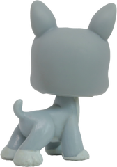 #0857 Boston Terrier