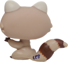 #1348 Raccoon
