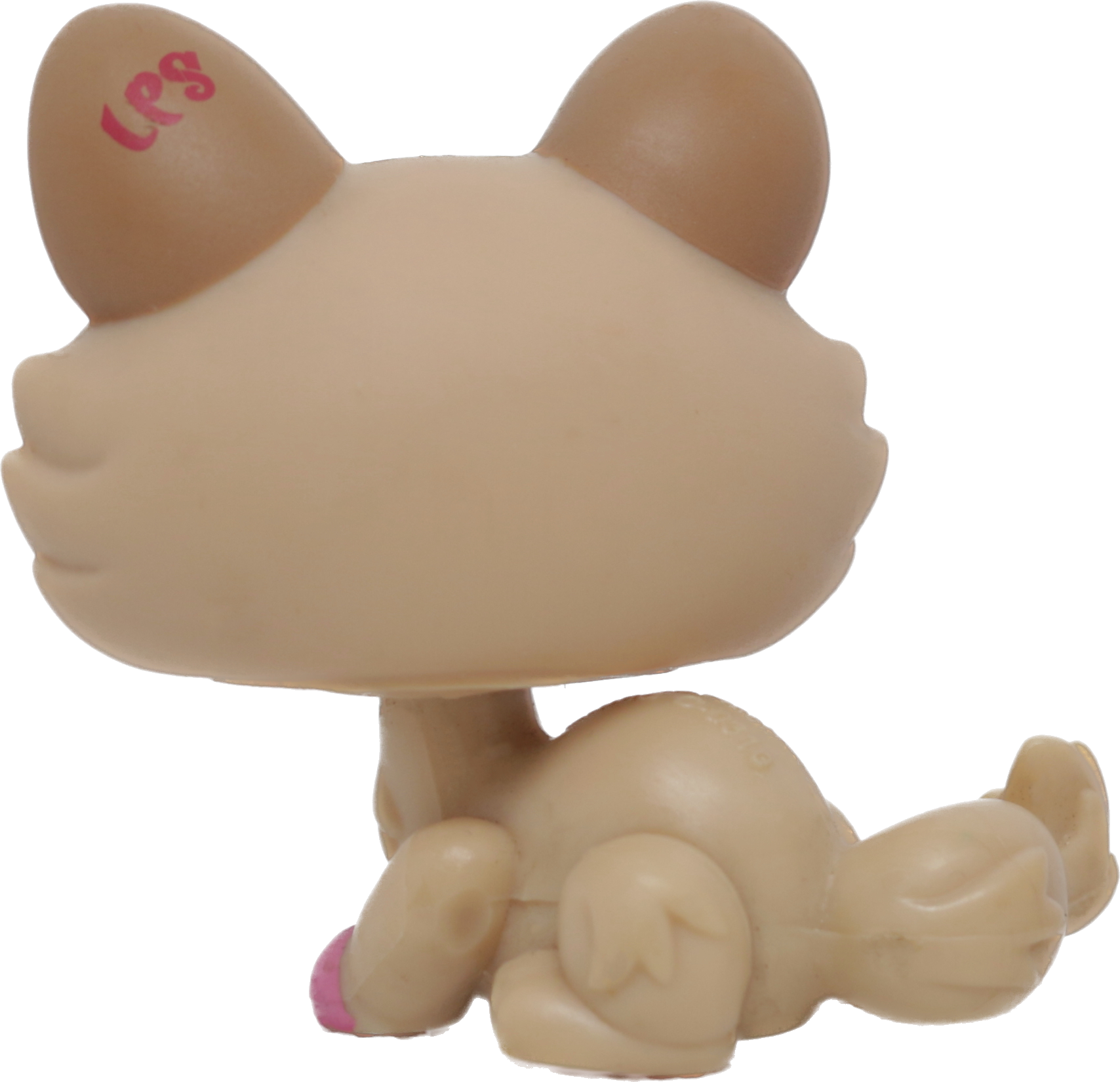 #1584 Crouching Kitten