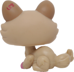 #1584 Crouching Kitten