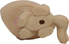 #1584 Crouching Kitten