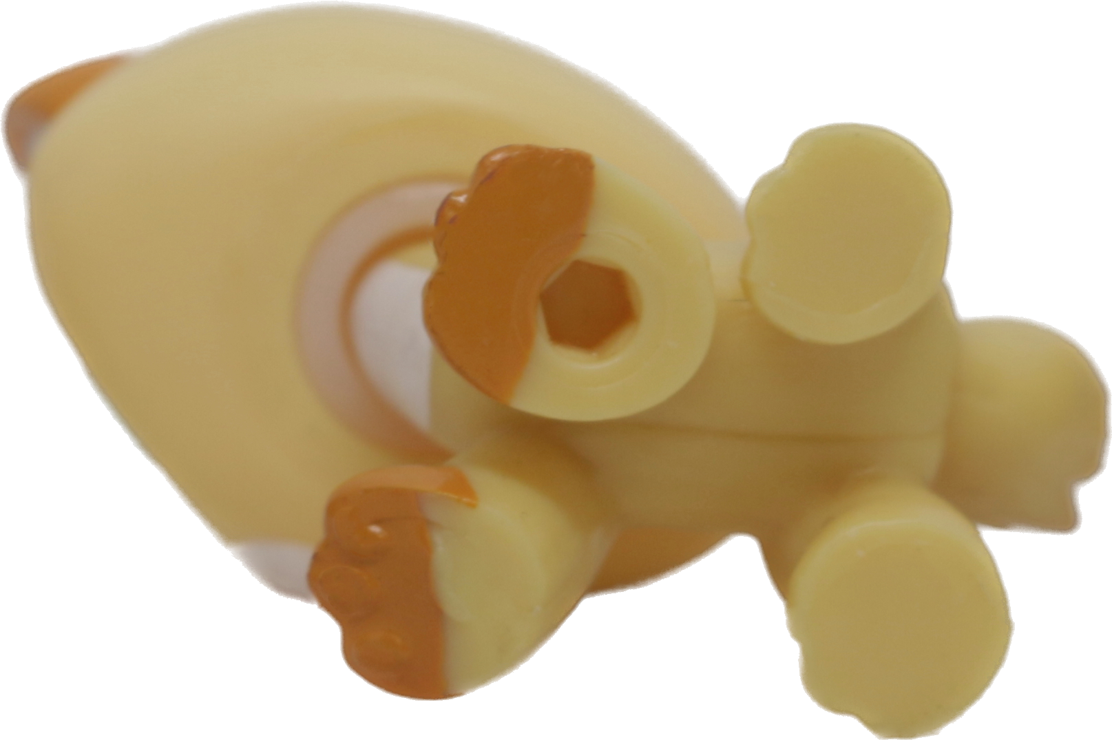 #2326 Himalayan Kitten