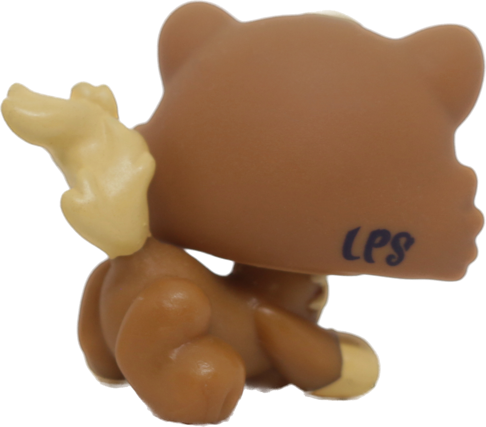 #2328 Himalayan Kitten