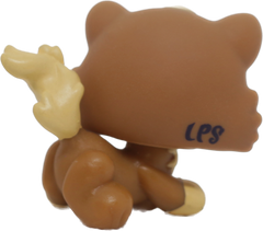 #2328 Himalayan Kitten