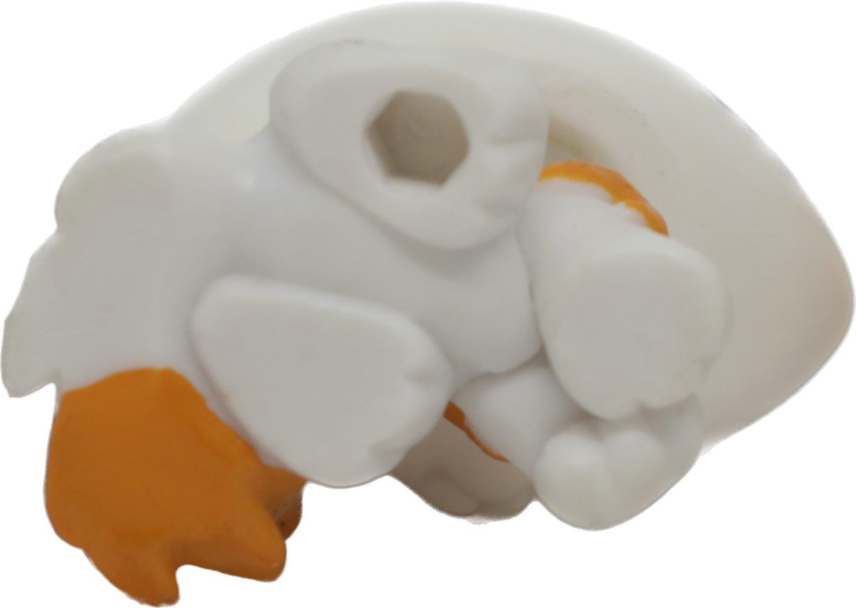 #2327 Himalayan Kitten