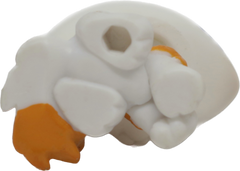 #2327 Himalayan Kitten