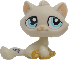 #1364 Sitting Bonbon Cat