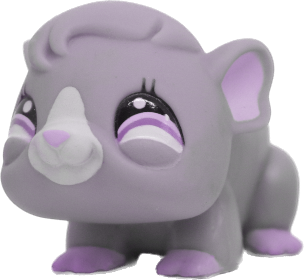 Custom Base: Guinea Pig (Shorthair)