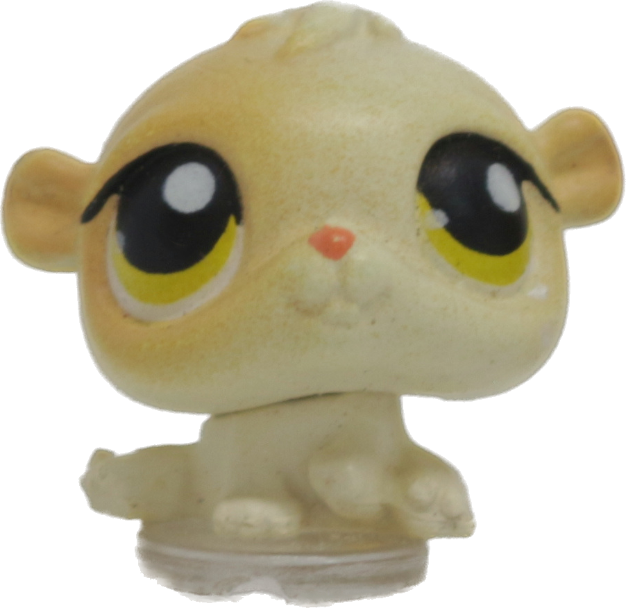 #T4 Teensiest Hamster