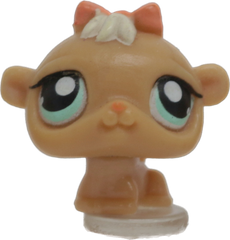 #T?? Teensiest Hamster