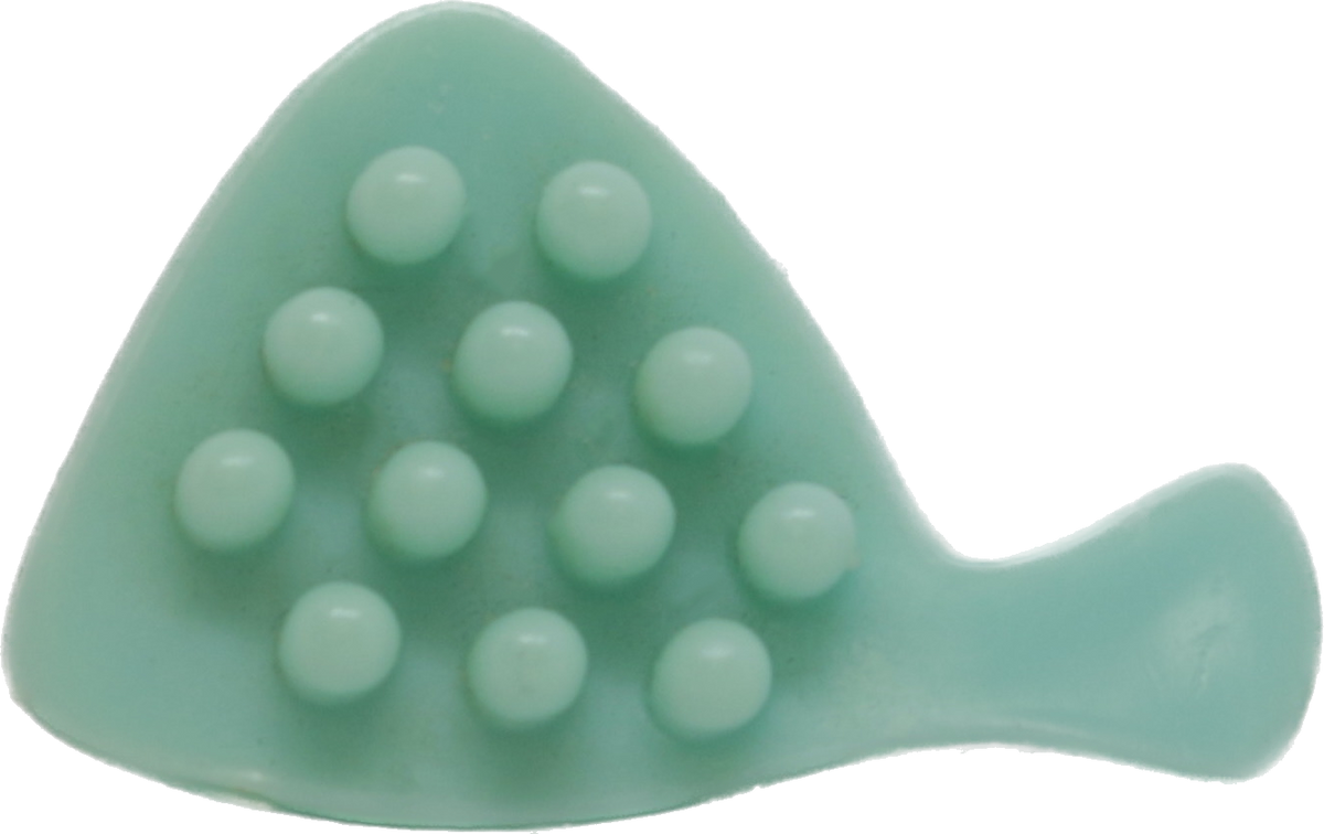 Hair Brush