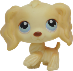 #0091 Cocker Spaniel