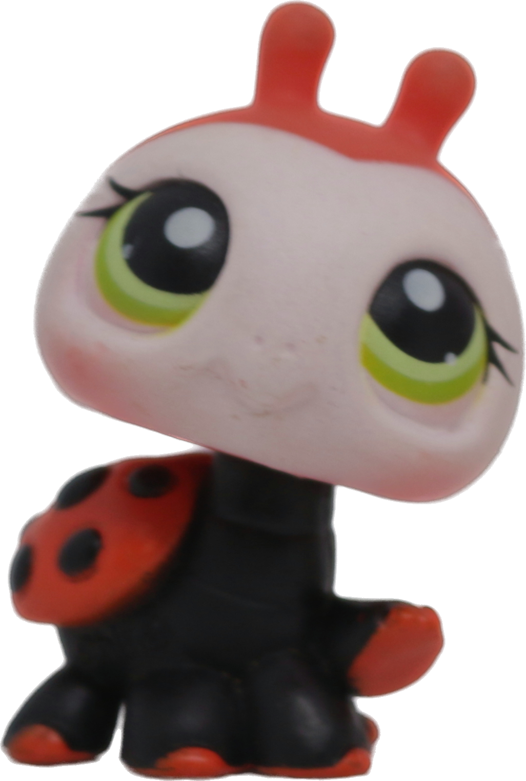 #0221 Ladybug