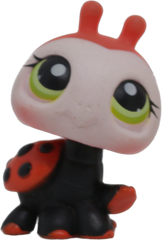 #0221 Ladybug