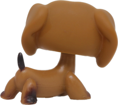 #0139/307 Dachshund