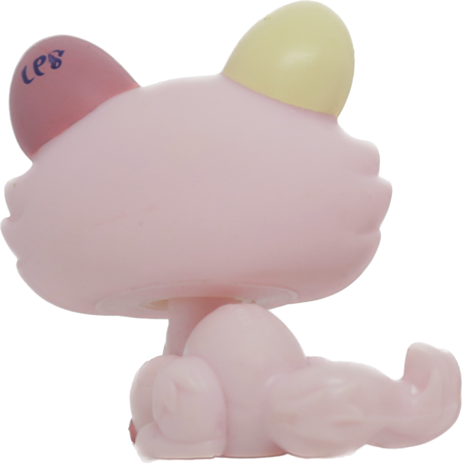 #1489 Crouching Kitten