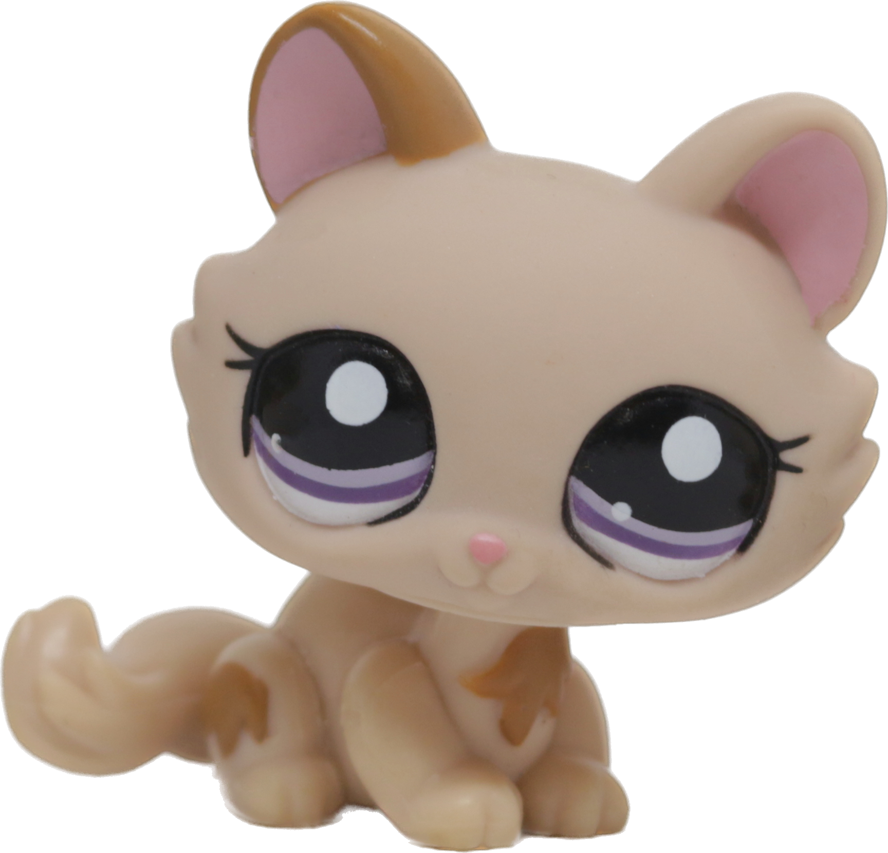 #1444 Crouching Kitten