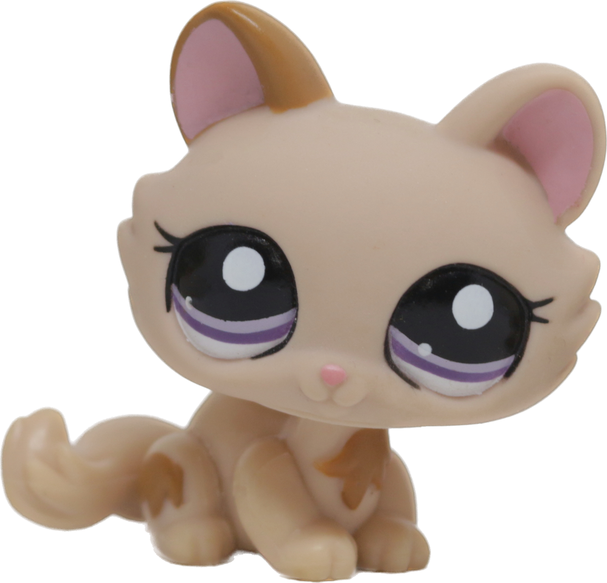 #1444 Crouching Kitten