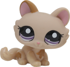 #1444 Crouching Kitten