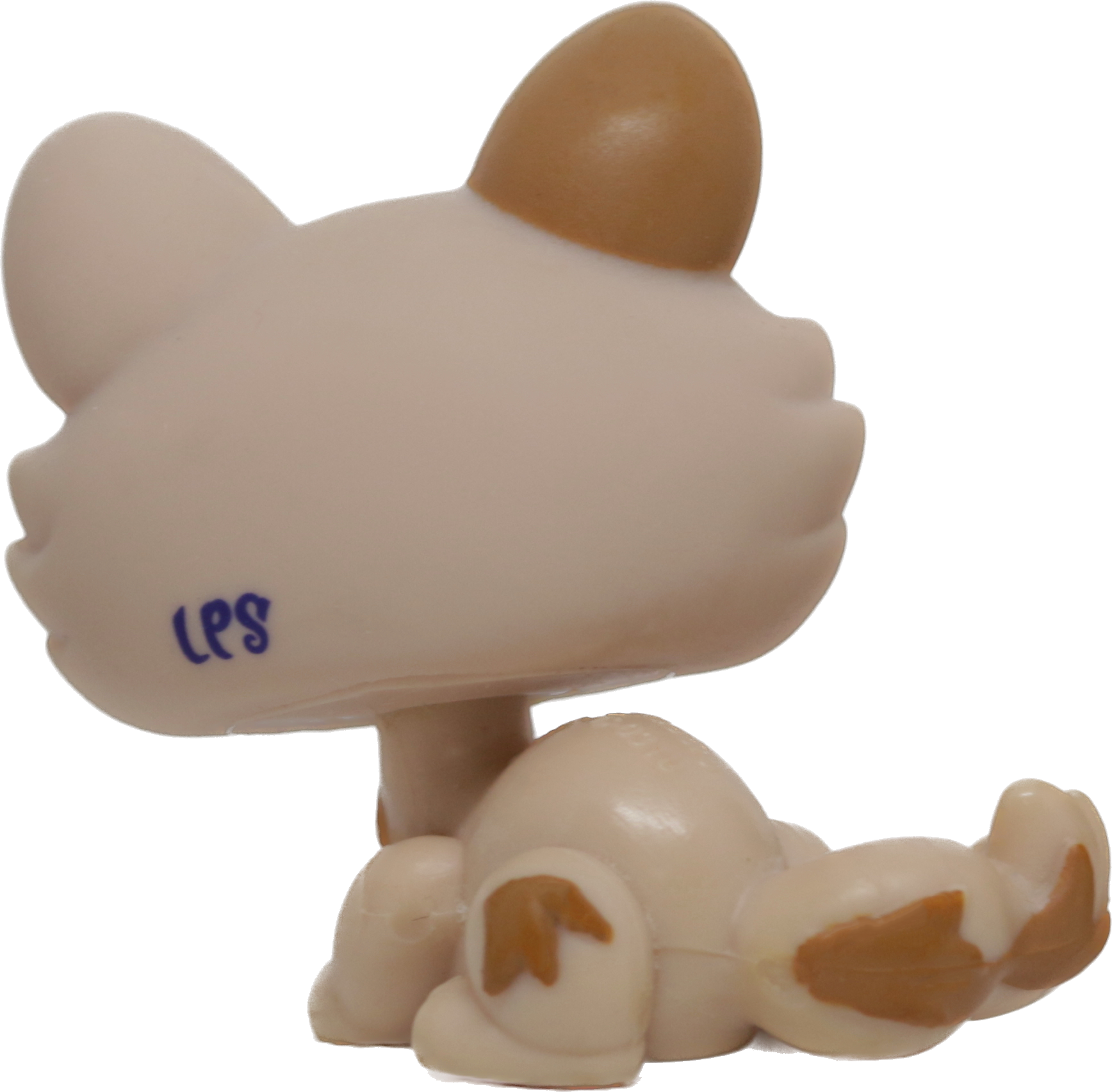 #1444 Crouching Kitten