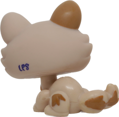 #1444 Crouching Kitten