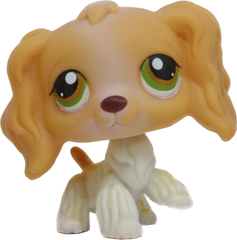 #0079 Cocker Spaniel