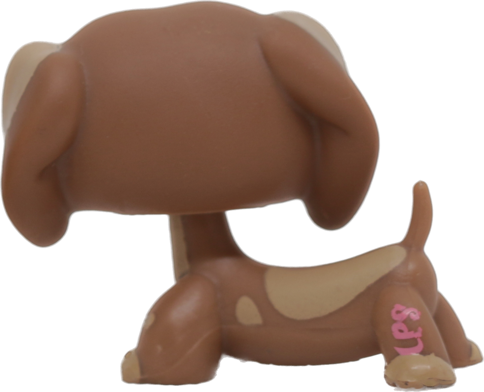 #1751 Dachshund