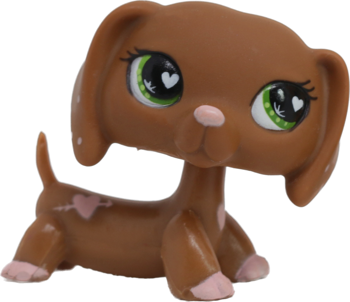 #0556 Dachshund