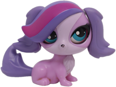 #3362 Spaniel "Zoe Trent"